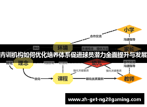 青训机构如何优化培养体系促进球员潜力全面提升与发展