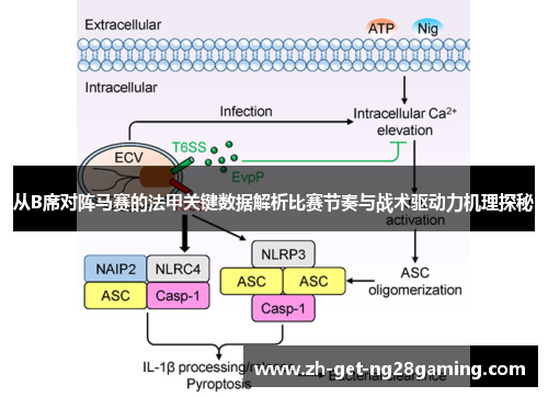 从B席对阵马赛的法甲关键数据解析比赛节奏与战术驱动力机理探秘