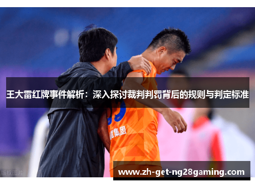 王大雷红牌事件解析：深入探讨裁判判罚背后的规则与判定标准