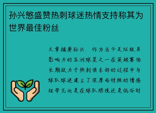 孙兴慜盛赞热刺球迷热情支持称其为世界最佳粉丝