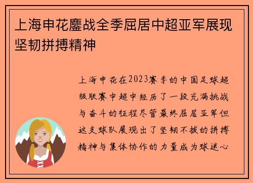 上海申花鏖战全季屈居中超亚军展现坚韧拼搏精神
